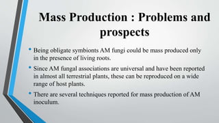 Mass Production : Problems and
prospects
• Being obligate symbionts AM fungi could be mass produced only
in the presence of living roots.
• Since AM fungal associations are universal and have been reported
in almost all terrestrial plants, these can be reproduced on a wide
range of host plants.
• There are several techniques reported for mass production of AM
inoculum.
 