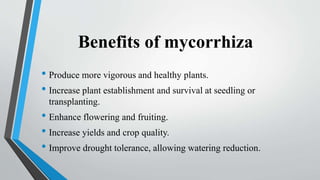 Benefits of mycorrhiza
• Produce more vigorous and healthy plants.
• Increase plant establishment and survival at seedling or
transplanting.
• Enhance flowering and fruiting.
• Increase yields and crop quality.
• Improve drought tolerance, allowing watering reduction.
 