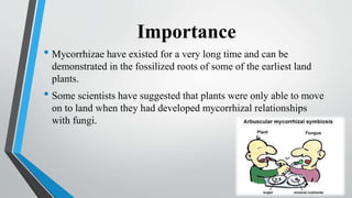 Importance
• Mycorrhizae have existed for a very long time and can be
demonstrated in the fossilized roots of some of the earliest land
plants.
• Some scientists have suggested that plants were only able to move
on to land when they had developed mycorrhizal relationships
with fungi.
 