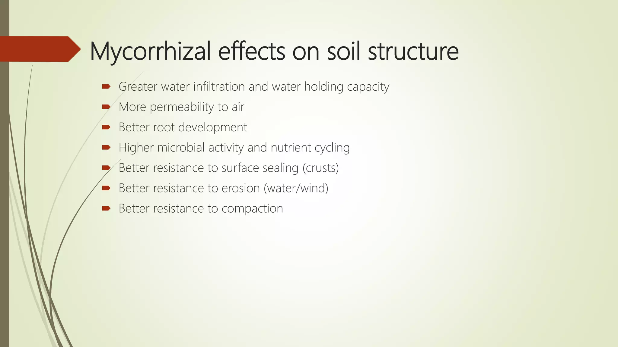 Mycorrhiza | PPT