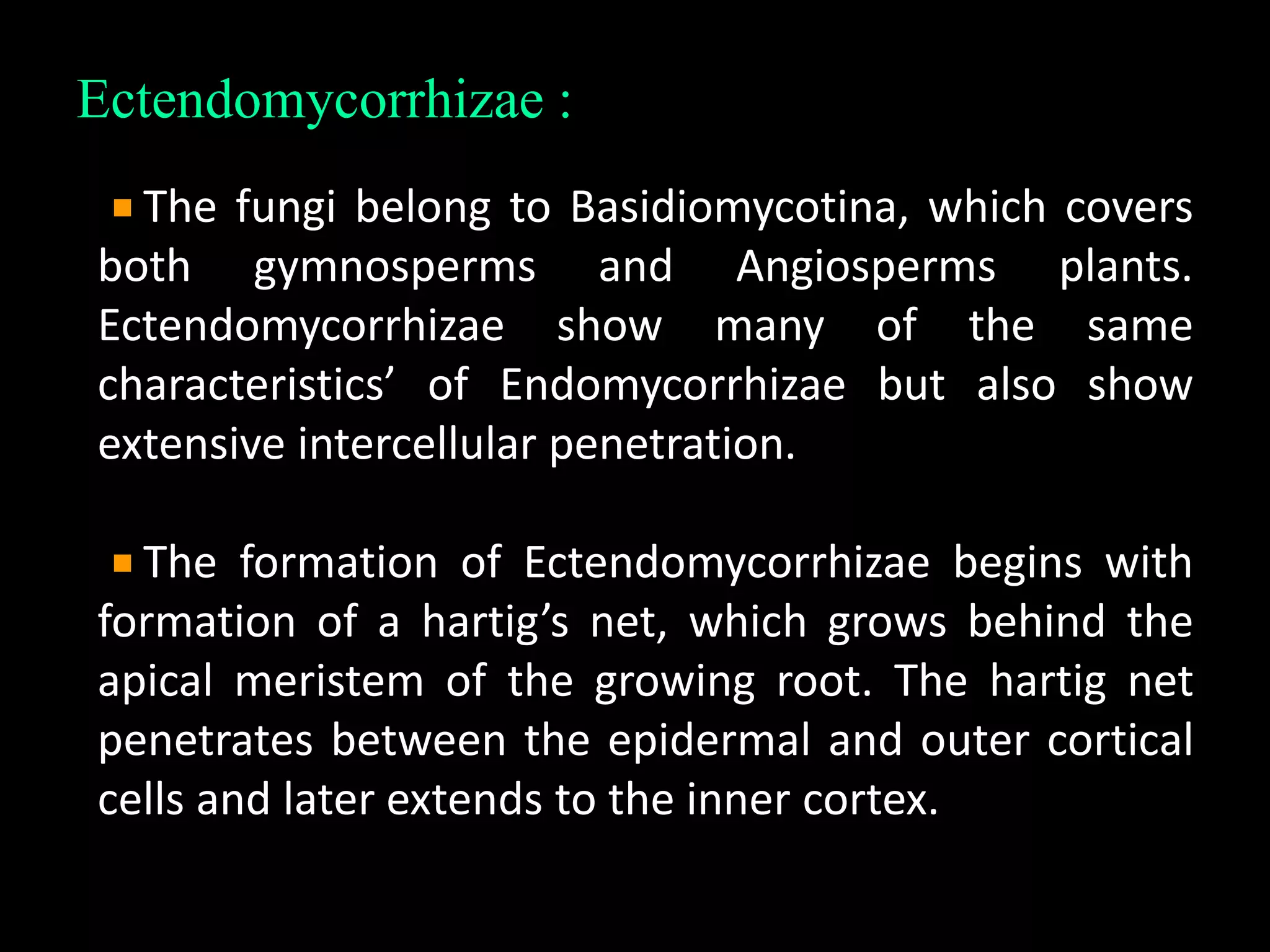 Ectendomycorrhizae :
The fungi belong to Basidiomycotina, which covers
both gymnosperms and Angiosperms plants.
Ectendomycorrhizae show many of the same
characteristics’ of Endomycorrhizae but also show
extensive intercellular penetration.
The formation of Ectendomycorrhizae begins with
formation of a hartig’s net, which grows behind the
apical meristem of the growing root. The hartig net
penetrates between the epidermal and outer cortical
cells and later extends to the inner cortex.
 