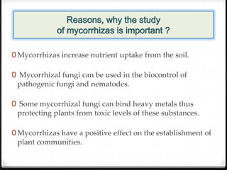 0 Mycorrhizas increase nutrient uptake from the soil.

0 Mycorrhizal fungi can be used in the biocontrol of
 pathogenic fungi and nematodes.

0 Some mycorrhizal fungi can bind heavy metals thus
 protecting plants from toxic levels of these substances.

0 Mycorrhizas have a positive effect on the establishment of
 plant communities.
 