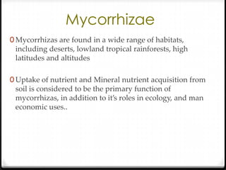 Mycorrhizae
0 Mycorrhizas are found in a wide range of habitats,
 including deserts, lowland tropical rainforests, high
 latitudes and altitudes

0 Uptake of nutrient and Mineral nutrient acquisition from
 soil is considered to be the primary function of
 mycorrhizas, in addition to it’s roles in ecology, and man
 economic uses..
 