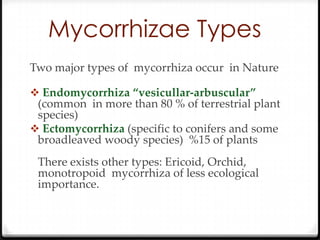 Mycorrhizae Types
Two major types of mycorrhiza occur in Nature

 Endomycorrhiza “vesicullar-arbuscular”
 (common in more than 80 % of terrestrial plant
 species)
 Ectomycorrhiza (specific to conifers and some
 broadleaved woody species) %15 of plants
 There exists other types: Ericoid, Orchid,
 monotropoid mycorrhiza of less ecological
 importance.
 