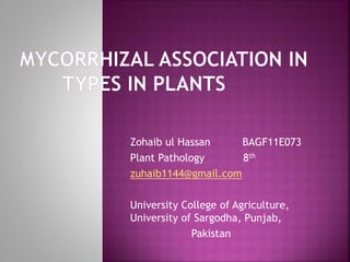 Zohaib ul Hassan BAGF11E073
Plant Pathology 8th
zuhaib1144@gmail.com
University College of Agriculture,
University of Sargodha, Punjab,
Pakistan
 