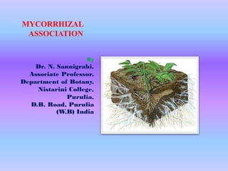 MYCORRHIZAL
ASSOCIATION
By
Dr. N. Sannigrahi,
Associate Professor,
Department of Botany,
Nistarini College,
Purulia,
D.B. Road, Purulia
(W.B) India
 