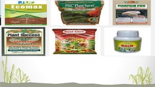 Mycorrhiza Biofertilizer: VAM