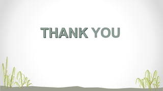 Mycorrhiza Biofertilizer: VAM