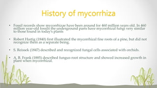 • Fossil records show mycorrhizae have been around for 460 million years old. In 460
million year-old fossils the underground parts have mycorrhizal fungi very similar
to those found in today’s plants
• Robert Hartig (1840) first illustrated the mycorrhizal fine roots of a pine, but did not
recognize them as a separate being.
• S. Reissek (1847) described and recognized fungal cells associated with orchids.
• A. B. Frank (1885) described fungus-root structure and showed increased growth in
plant when mycorrhizal.
History of mycorrhiza
 
