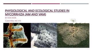 PHYSIOLOGICAL AND ECOLOGICAL STUDIES IN
MYCORRHIZA (AM AND VAM)
BY ISHA KEDIA
CLASS ROLL NO. 416
 