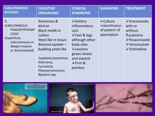 SUBCUTANEOUS          CAUSITIVE              CLINICAL        DIAGNOSIS         TREATMENT
MYCOSES               ORGANISMS              SYNDROME

5.                   Numerous &             Solitary        Culture          Itraconazole,
SUBCUTANEOUS         diverse                inflammatory     Identification   with or
    PHAEOHYPHOMY Black molds in             cyst.            of pattern of     without
    COSIS            culture                Feet & legs     sporulation       flucytosine
(Superficial,
                     Yeast like in tissue.  although other                     Posaconazole
    subcutaneous or
    deeply invasive  Branced septate –      body sites                         Voriconazole
    or disseminated) budding yeast like     Lessions                          Terbinafine
                                            grows slowly
                      Exophiala jeanselmei, and expand
                      Alternaria,           Firm &
                      Curvularia,           painless
                      Phaeoacremonium,
                      Bipolaris spp.
 