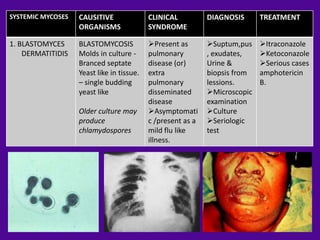 SYSTEMIC MYCOSES   CAUSITIVE               CLINICAL          DIAGNOSIS      TREATMENT
                   ORGANISMS               SYNDROME

1. BLASTOMYCES     BLASTOMYCOSIS           Present as       Suptum,pus    Itraconazole
    DERMATITIDIS   Molds in culture -      pulmonary         , exudates,    Ketoconazole
                   Branced septate         disease (or)      Urine &        Serious cases
                   Yeast like in tissue.   extra             biopsis from   amphotericin
                   – single budding        pulmonary         lessions.      B.
                   yeast like              disseminated      Microscopic
                                           disease           examination
                   Older culture may       Asymptomati      Culture
                   produce                 c /present as a   Seriologic
                   chlamydospores          mild flu like     test
                                           illness.
 