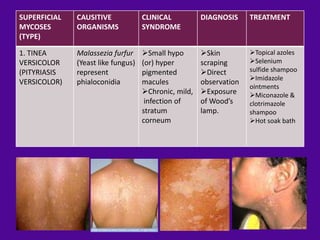 SUPERFICIAL   CAUSITIVE             CLINICAL          DIAGNOSIS     TREATMENT
MYCOSES       ORGANISMS             SYNDROME
(TYPE)

1. TINEA      Malassezia furfur     Small hypo       Skin         Topical azoles
VERSICOLOR    (Yeast like fungus)   (or) hyper        scraping      Selenium
(PITYRIASIS   represent             pigmented         Direct       sulfide shampoo
                                                                    Imidazole
VERSICOLOR)   phialoconidia         macules           observation
                                                                    ointments
                                    Chronic, mild,   Exposure     Miconazole &
                                     infection of     of Wood’s     clotrimazole
                                    stratum           lamp.         shampoo
                                    corneum                         Hot soak bath
 