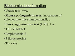 Myxococcus Urease subcutaneous Mycosis & systemic mycosis | PPTX
