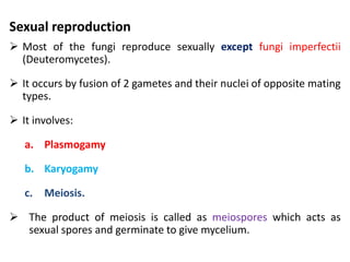Sexual reproduction
 Most of the fungi reproduce sexually except fungi imperfectii
(Deuteromycetes).
 It occurs by fusion of 2 gametes and their nuclei of opposite mating
types.
 It involves:
a. Plasmogamy
b. Karyogamy
c. Meiosis.
 The product of meiosis is called as meiospores which acts as
sexual spores and germinate to give mycelium.
 