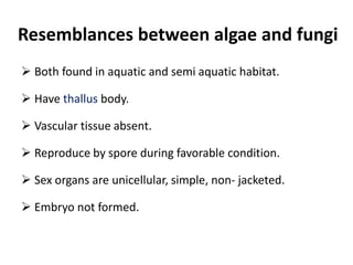 Resemblances between algae and fungi
 Both found in aquatic and semi aquatic habitat.
 Have thallus body.
 Vascular tissue absent.
 Reproduce by spore during favorable condition.
 Sex organs are unicellular, simple, non- jacketed.
 Embryo not formed.
 