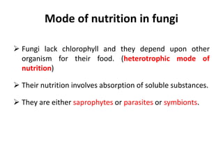 Mode of nutrition in fungi
 Fungi lack chlorophyll and they depend upon other
organism for their food. (heterotrophic mode of
nutrition)
 Their nutrition involves absorption of soluble substances.
 They are either saprophytes or parasites or symbionts.
 