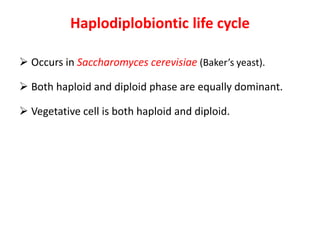 Haplodiplobiontic life cycle
 Occurs in Saccharomyces cerevisiae (Baker’s yeast).
 Both haploid and diploid phase are equally dominant.
 Vegetative cell is both haploid and diploid.
 