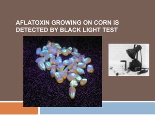 Mycotoxicoses | PPTX