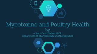 Mycotoxins and Poultry Health
by
Adham Omar Sallam MVSc
Department of pharmacology and therapeutics
 