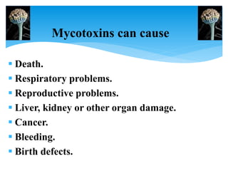 Mycotoxins can cause
 Death.
 Respiratory problems.
 Reproductive problems.
 Liver, kidney or other organ damage.
 Cancer.
 Bleeding.
 Birth defects.
 