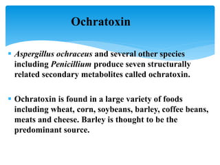 Ochratoxin
 Aspergillus ochraceus and several other species
including Penicillium produce seven structurally
related secondary metabolites called ochratoxin.
 Ochratoxin is found in a large variety of foods
including wheat, corn, soybeans, barley, coffee beans,
meats and cheese. Barley is thought to be the
predominant source.
 
