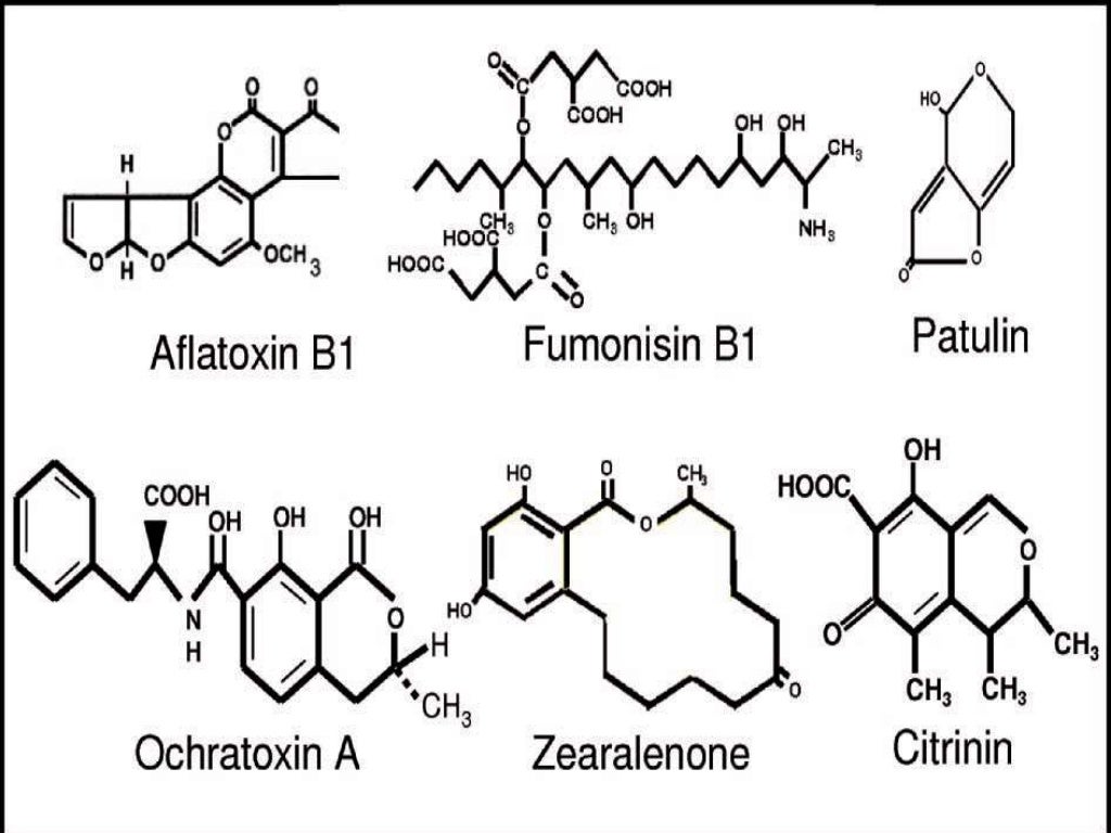Mycotoxin