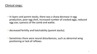 Clinical sings:
• In layers and parent stocks, there was a sharp decrease in egg
production, poor egg shell, increased number of cracked eggs, reduced
egg size; cyanosis of the comb and wattle.
• decreased fertility and hatchability (parent stocks).
• Sometimes there were neural disturbances, such as abnormal wing
positioning or lack of reflexes.
11
 
