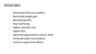 clinical signs:
• Decreased feed consumption.
• Decreased weight gain.
• Retarded growth.
• Poor feathering.
• Higher mortality rate.
• Higher FCR.
• Abnormal pigmentation (shank, feet).
• Increased water consumption.
• Immune suppressive effects.
13
 