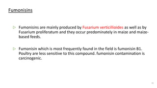Fumonisins
▷ Fumonisins are mainly produced by Fusarium verticillioides as well as by
Fusarium proliferatum and they occur predominately in maize and maize-
based feeds.
▷ Fumonisin which is most frequently found in the field is fumonisin B1.
Poultry are less sensitive to this compound. fumonisin contamination is
carcinogenic.
15
 