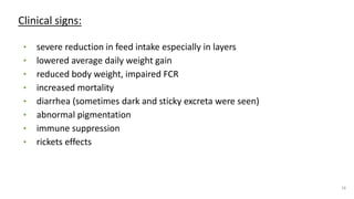 Clinical signs:
• severe reduction in feed intake especially in layers
• lowered average daily weight gain
• reduced body weight, impaired FCR
• increased mortality
• diarrhea (sometimes dark and sticky excreta were seen)
• abnormal pigmentation
• immune suppression
• rickets effects
16
 