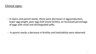 Clinical signs:
• In layers and parent stocks, there were decreases in egg production,
lower egg weight, poor egg shell (more brittle), an increased percentage
of eggs with small and disintegrated yolks.
• In parent stocks a decrease in fertility and hatchability were observed.
17
 