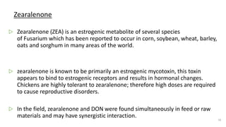 Zearalenone
▷ Zearalenone (ZEA) is an estrogenic metabolite of several species
of Fusarium which has been reported to occur in corn, soybean, wheat, barley,
oats and sorghum in many areas of the world.
▷ zearalenone is known to be primarily an estrogenic mycotoxin, this toxin
appears to bind to estrogenic receptors and results in hormonal changes.
Chickens are highly tolerant to zearalenone; therefore high doses are required
to cause reproductive disorders.
▷ In the field, zearalenone and DON were found simultaneously in feed or raw
materials and may have synergistic interaction.
18
 