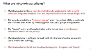 What are mycotoxin adsorbents?
▷ Mycotoxin adsorbents are ingredients that bind mycotoxins to help prevent
toxicity in the gastro intestinal tract and to prevent absorption across the gut wall.
▷ The adsorbent acts like a “chemical sponge” when the surface of these materials
are saturated with water by attracting polar functional groups of mycotoxins.
▷ The “bound” toxins are then eliminated in the faeces, thus preventing any
deleterious effects on the poultry.
▷ Mycotoxin binding is achieved through both physical and chemical adsorption
(ionic or covalent bonding).
▷ Mycotoxin adsorbents fall into two broad categories – Inorganic and Organic.
21
 