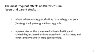 The most frequent effects of Aflatoxicosis in
layers and parent stocks :
• In layers decreased egg production, reduced egg size, poor
(thin) egg shell, pale egg shell and egg yolk.
• In parent stocks, there was a reduction in fertility and
hatchability, increased embryo mortality in the hatchery, and
lower semen volume in male parent stocks.
8
 