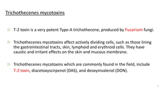 Trichothecenes mycotoxins
▷ T-2 toxin is a very potent Type-A trichothecene, produced by Fusarium fungi.
▷ Trichothecenes mycotoxins affect actively dividing cells, such as those lining
the gastrointestinal tracts, skin, lymphoid and erythroid cells. They have
caustic and irritant effects on the skin and mucous membrane.
▷ Trichothecenes mycotoxins which are commonly found in the field, include
T-2 toxin, diacetoxyscirpenol (DAS), and deoxynivalenol (DON).
9
 
