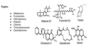 Mycotoxin.pptx