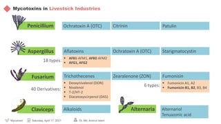 Mycotoxin, a hidden threat for poultry, need to be tactful in ...