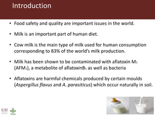 Efficacy of mycotoxin binder on aflatoxin M1 and Mazzican on total bacterial count in raw milk among smallholder dairy farmers in Kisumu County, Kenya
