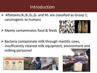 Efficacy of mycotoxin binder on aflatoxin M1 and Mazzican on total bacterial count in raw milk among smallholder dairy farmers in Kisumu County, Kenya