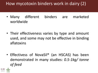 Mycotoxin binders: An option for safer milk in Kenya?