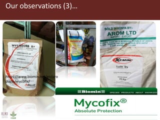 Mycotoxin binders: An option for safer milk in Kenya?