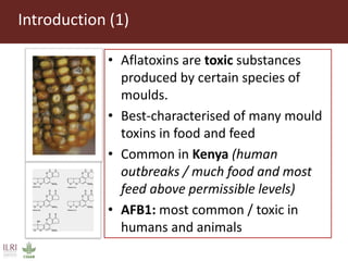 Mycotoxin binders: An option for safer milk in Kenya?