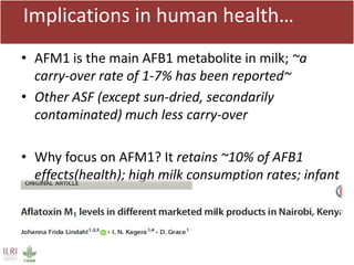 Mycotoxin binders: An option for safer milk in Kenya?