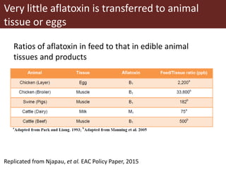 Mycotoxin binders: An option for safer milk in Kenya?