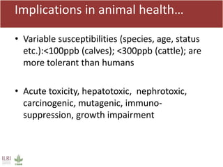 Mycotoxin binders: An option for safer milk in Kenya?