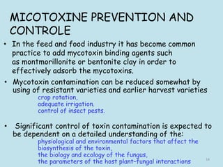 • In the feed and food industry it has become common
practice to add mycotoxin binding agents such
as montmorillonite or bentonite clay in order to
effectively adsorb the mycotoxins.
MICOTOXINE PREVENTION AND
CONTROLE
• Mycotoxin contamination can be reduced somewhat by
using of resistant varieties and earlier harvest varieties
crop rotation,
adequate irrigation.
control of insect pests.
• Significant control of toxin contamination is expected to
be dependent on a detailed understanding of the:
physiological and environmental factors that affect the
biosynthesis of the toxin,
the biology and ecology of the fungus,
the parameters of the host plant–fungal interactions 14
 