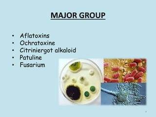 MAJOR GROUP
• Aflatoxins
• Ochratoxine
• Citriniergot alkaloid
• Patuline
• Fusarium
4
 