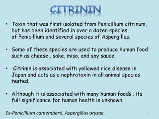 • Toxin that was first isolated from Penicillium citrinum,
but has been identified in over a dozen species
of Penicillium and several species of Aspergillus.
• Some of these species are used to produce human food
such as cheese , sake, miso, and soy sauce.
• Citrinin is associated with yellowed rice disease in
Japan and acts as a nephrotoxin in all animal species
tested.
• Although it is associated with many human foods . its
full significance for human health is unknown.
Ex-Penicillium camemberti, Aspergillus oryzae. 7
 