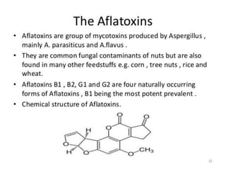 Mycotoxin effect on seed quality | PPTX